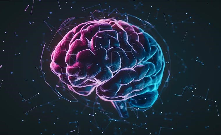 malformacoes arteriovenosas em jovens diagnostico e riscos